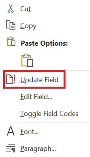 แถบคำสั่ง Update Field 